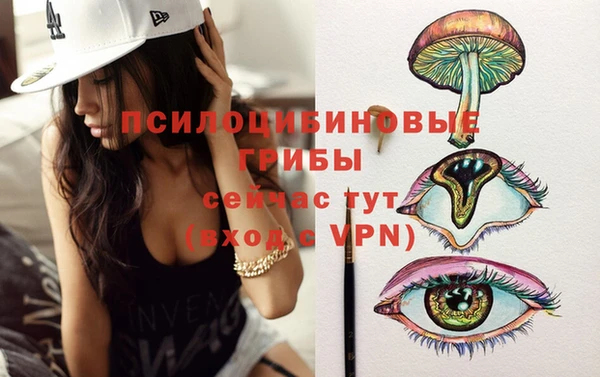 кокс Аркадак