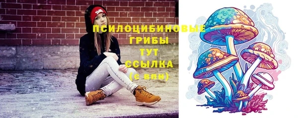 тгк Арсеньев