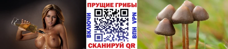 мега   Барабинск  Галлюциногенные грибы Magic Shrooms 